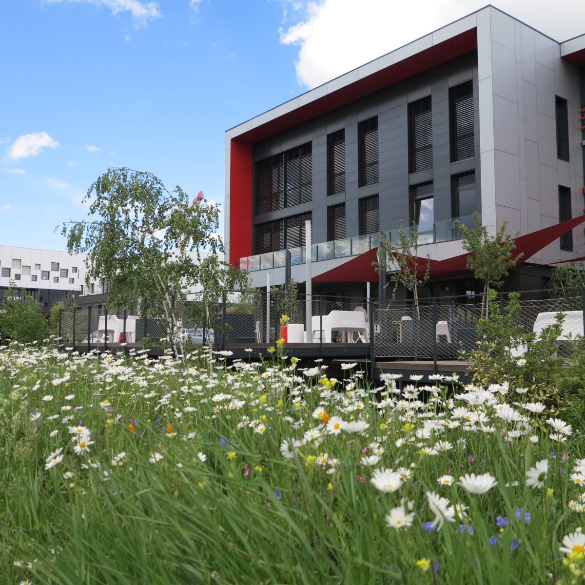 Entretien des espaces verts